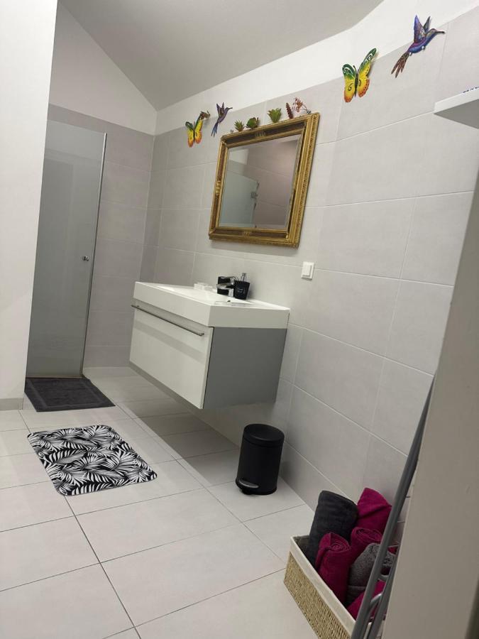 Klimatisiertes Dachgeschoss City Apartment In Zentrum Wiens Dış mekan fotoğraf
