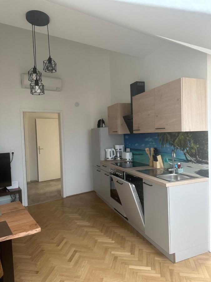 Klimatisiertes Dachgeschoss City Apartment In Zentrum Wiens Dış mekan fotoğraf