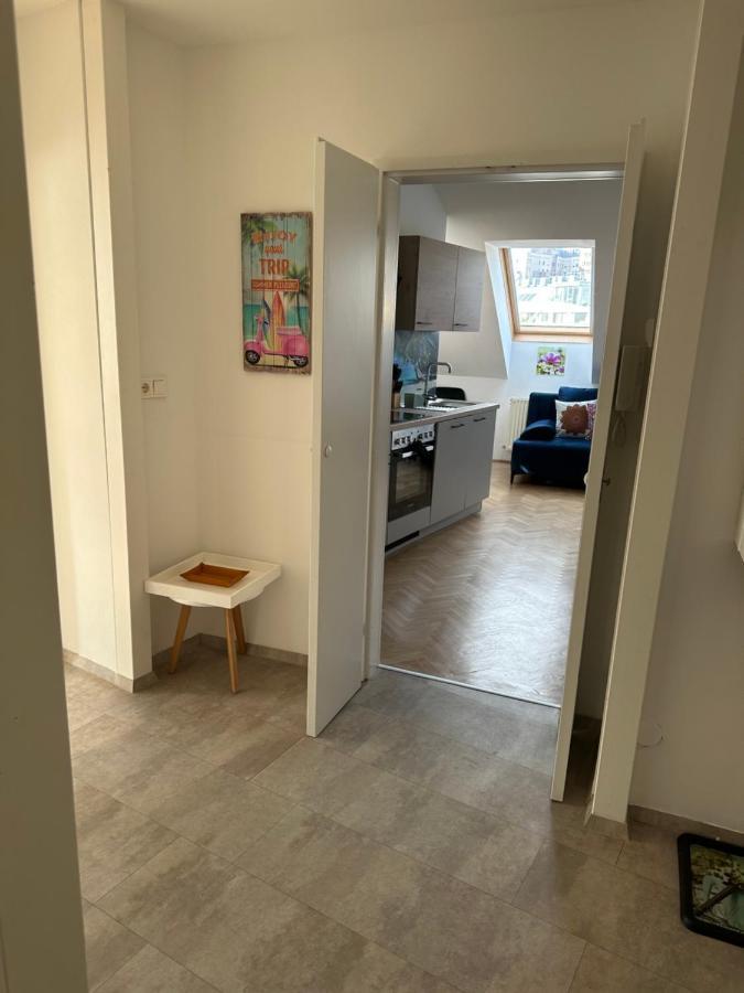 Klimatisiertes Dachgeschoss City Apartment In Zentrum Wiens Dış mekan fotoğraf