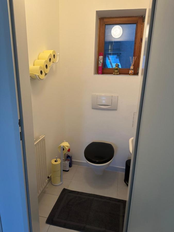 Klimatisiertes Dachgeschoss City Apartment In Zentrum Wiens Dış mekan fotoğraf