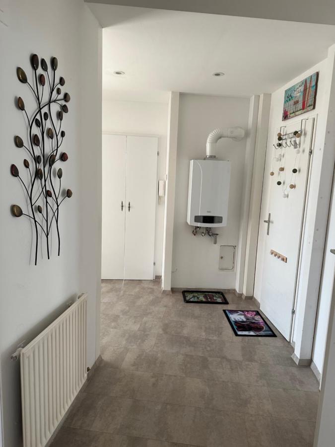 Klimatisiertes Dachgeschoss City Apartment In Zentrum Wiens Dış mekan fotoğraf