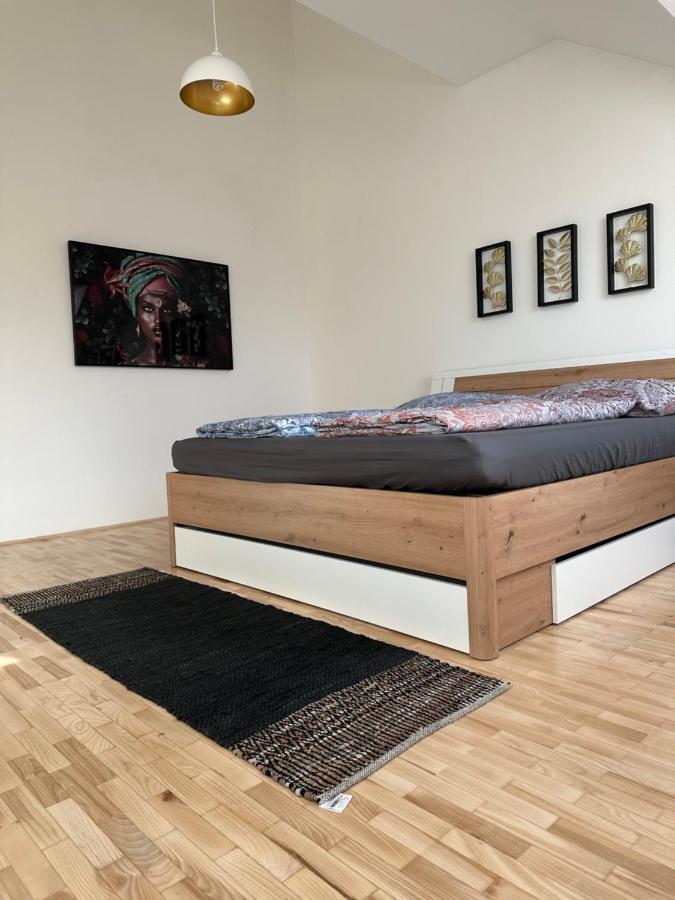 Klimatisiertes Dachgeschoss City Apartment In Zentrum Wiens Dış mekan fotoğraf